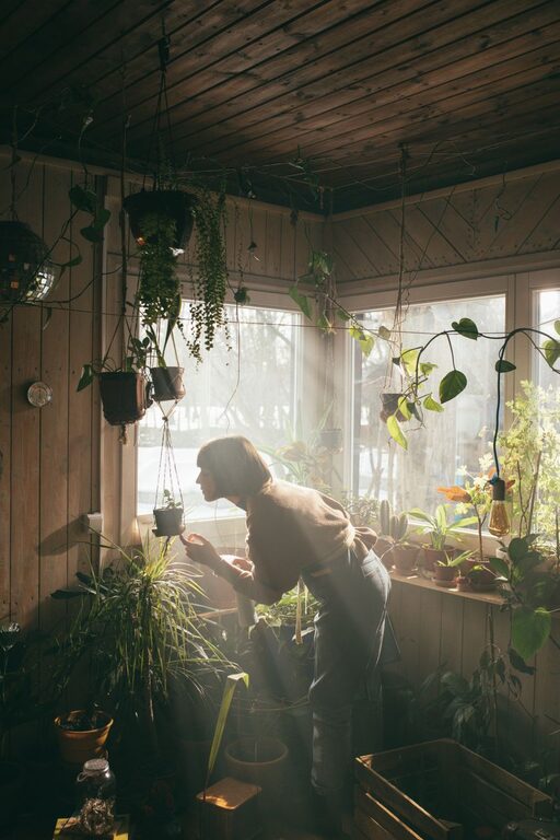 Affordable Tips for Creating an Eco-Friendly Home